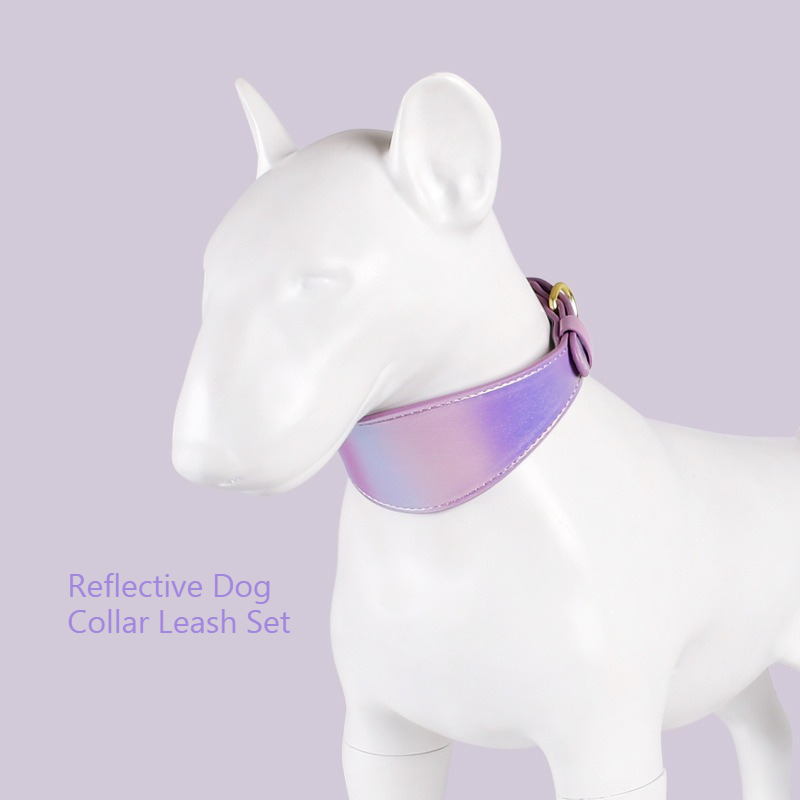 REFLECTIVE LEATHER DOG COLLAR  - огляд і ціна Headcollar Rope Set