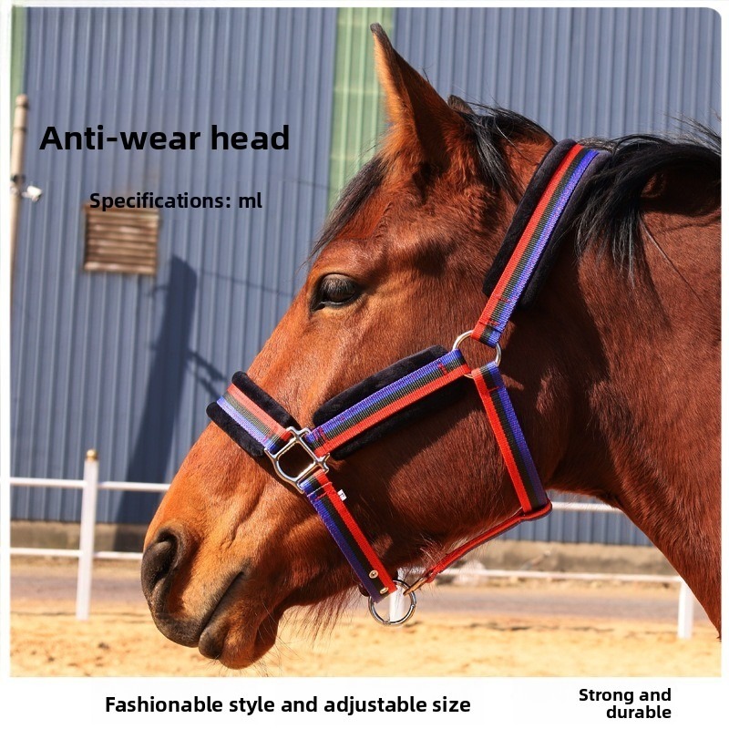 Wear‑Resistant Textile Horse H - огляд і ціна Headcollar Rope Set