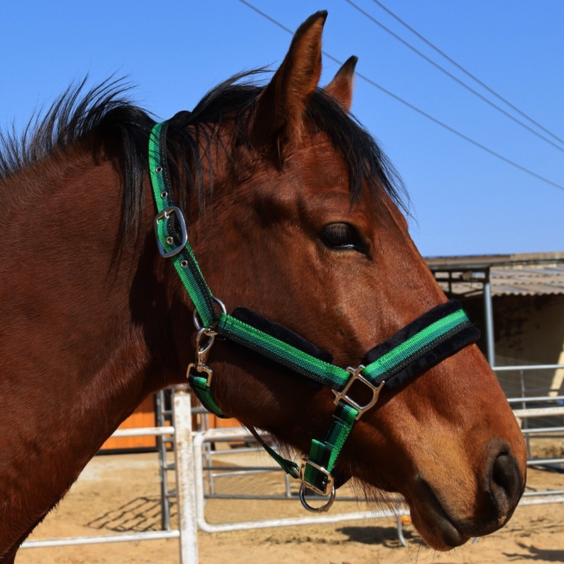 Wear‑Resistant Textile Horse H - огляд і ціна Headcollar Rope Set