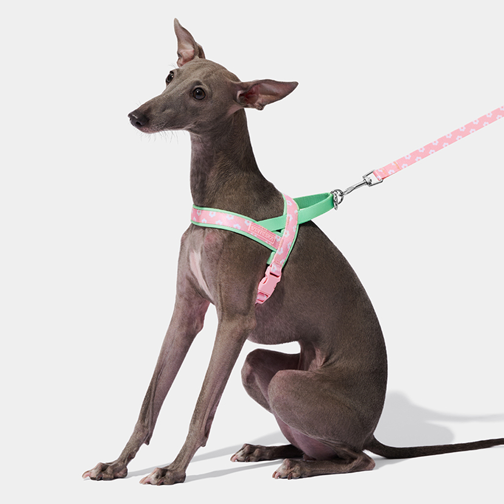 Luxury Pet Chest Strap Tractio - огляд і ціна Headcollar Rope Set