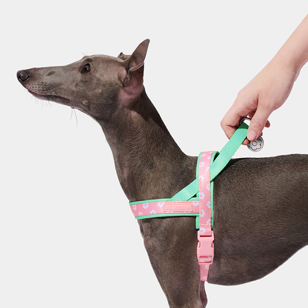 Luxury Pet Chest Strap Tractio - огляд і ціна Headcollar Rope Set