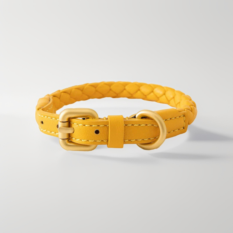 Adjustable Braided Leather Pet - огляд і ціна Headcollar Rope Set
